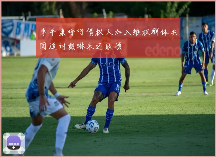 李平康呼吁债权人加入维权群体共同追讨戴琳未还款项