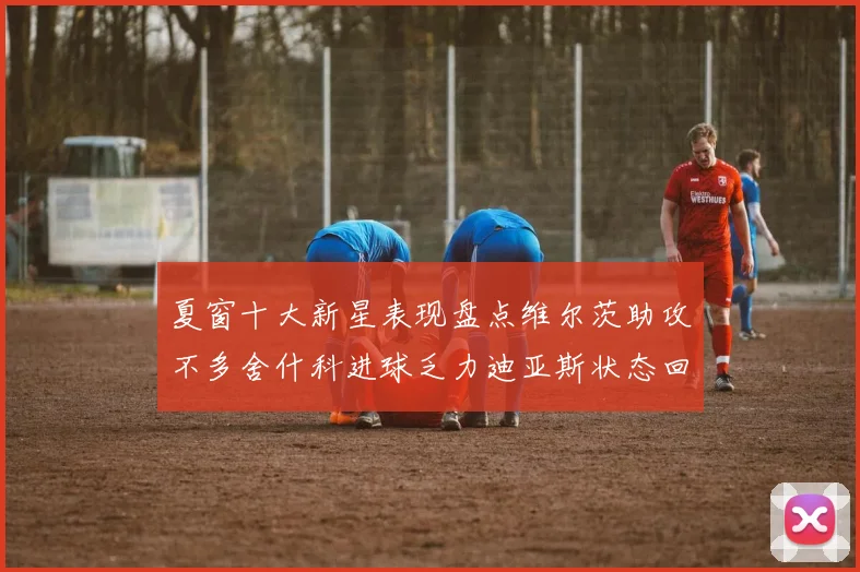夏窗十大新星表现盘点维尔茨助攻不多舍什科进球乏力迪亚斯状态回暖